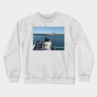 Wildlife watchers taking the Farne Island tour - Northumberland, UK Crewneck Sweatshirt